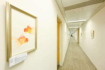 勞工及福利局局長孫玉菡今日(二月十日)下午與展能藝術家,以及受社會福利署「殘疾人士藝術發展基金」資助的非政府機構代表會面,一同欣賞借出在添馬政府總部勞工及福利局辦公室展出的藝術作品。勞工及福利局常任秘書長劉焱及康復專員王秀慧亦有出席。圖示辦公室走廊展出的藝術作品。