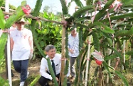 劳工及福利局局长罗致光博士到访北区，探访香港基督教女青年会「Y Farm健康长者农场」。图示罗致光博士（中）参观退休长者义工种植的农作物。