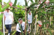 The Secretary for Labour and Welfare, Dr Law Chi-kwong, visited North District and visited the Hong Kong Young Women's Christian Association Farm of Healthy Ageing. Photo shows Dr Law (centre) viewing crops grown by retired elderly volunteers.