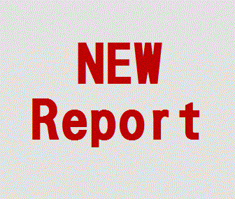 United Nations Convention on the Rights of Persons with Disabilities